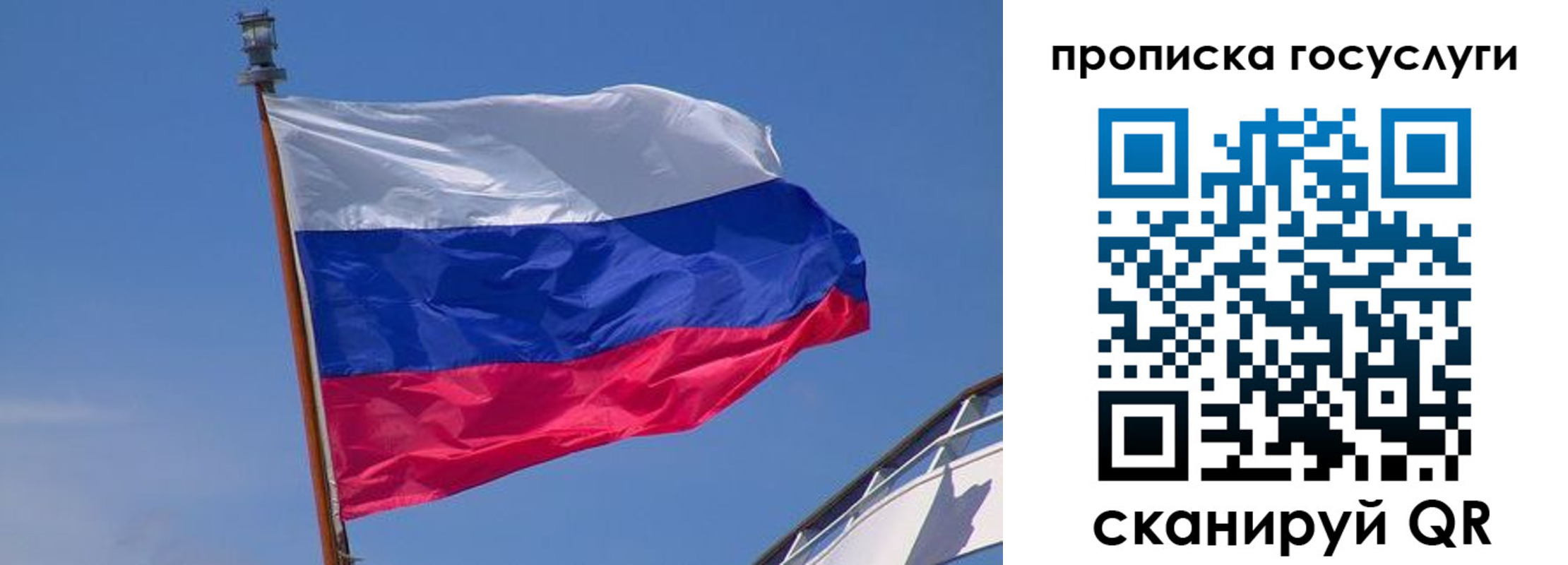 временная регистрация купить в Мурманской области